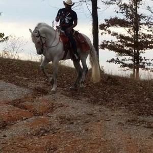 Meet your Posher, Saul